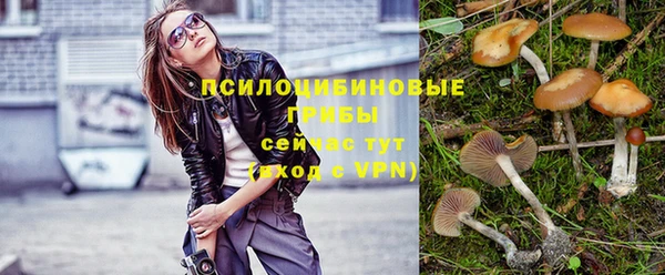 ALPHA PVP Весьегонск