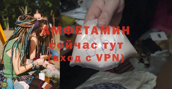 гидра Ветлуга