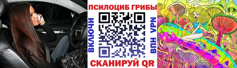 KRAKEN   Агрыз  Псилоцибиновые грибы ЛСД 